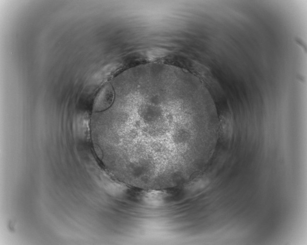 X0000100910527200807011246