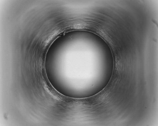 X0000100910530200807011246