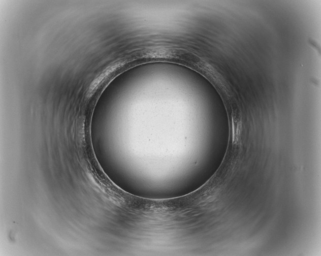 X0000100910531200807011246