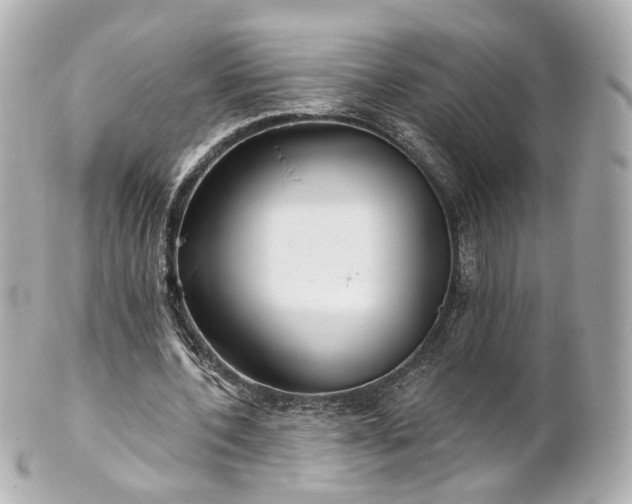 X0000100910532200807011246