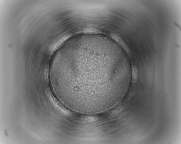 X0000100910533200807011246