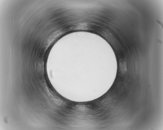 X0000100910534200807011246