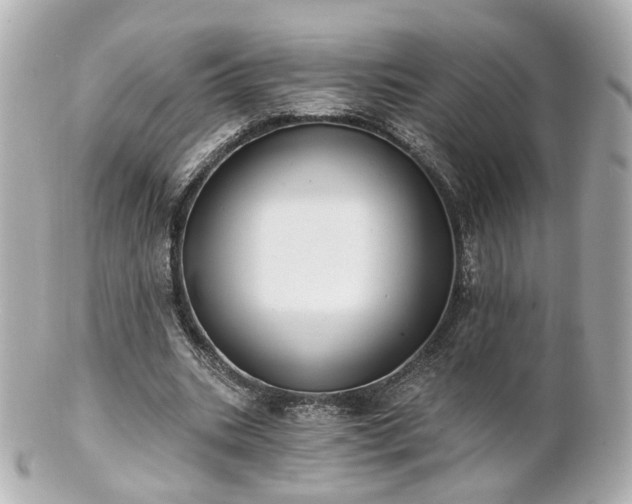 X0000100910535200807011246