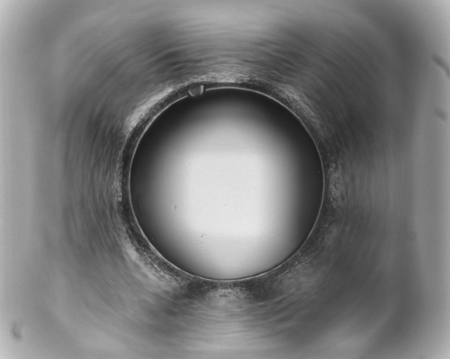 X0000100910536200807011246