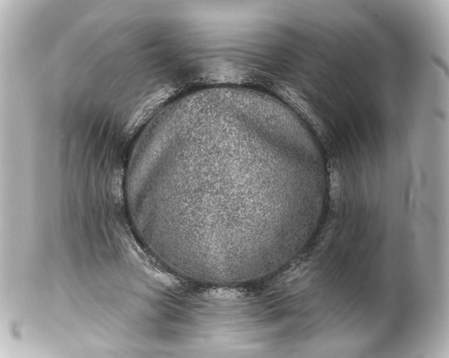 X0000100910537200807011246