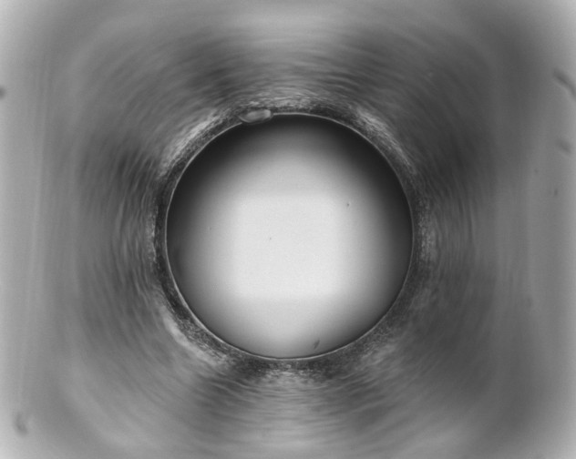 X0000100910538200807011246