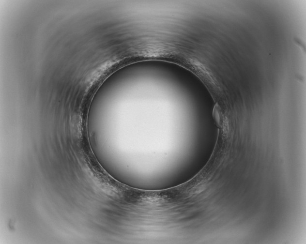 X0000100910540200807011246