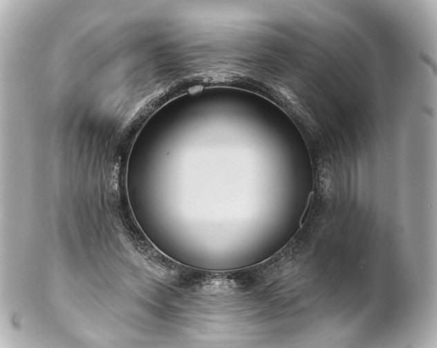 X0000100910543200807011246