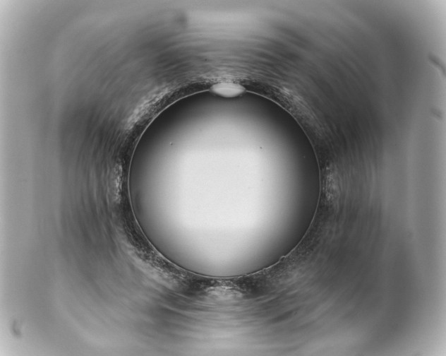 X0000100910544200807011246