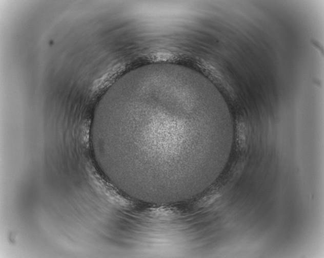 X0000100910545200807011246