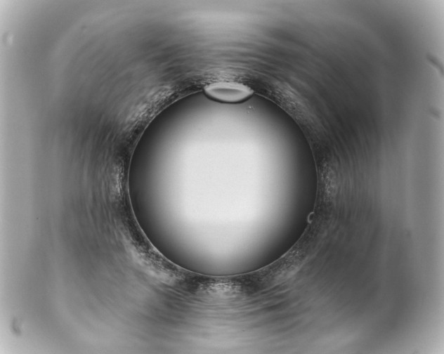 X0000100910546200807011246
