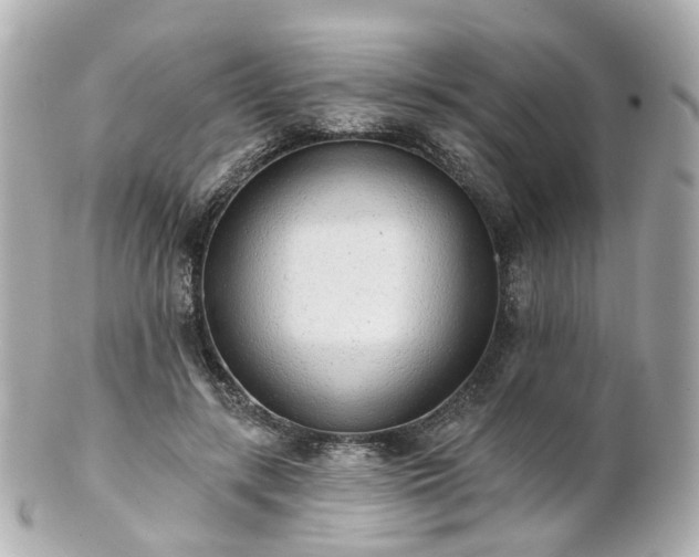 X0000100910547200807011246