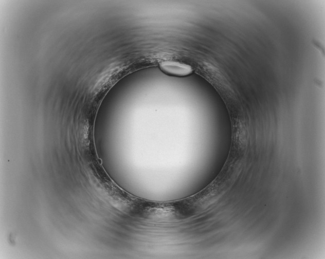 X0000100910548200807011246