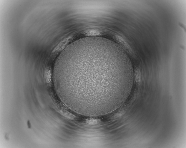 X0000100910549200807011246