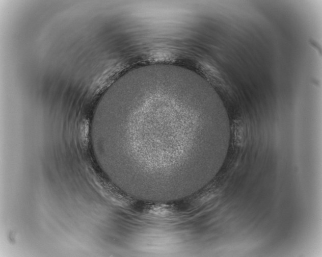 X0000100910550200807011246