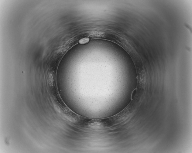 X0000100910551200807011246