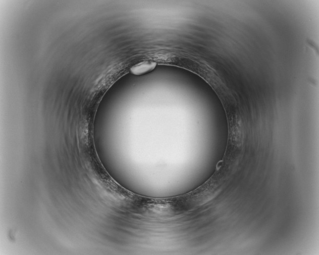 X0000100910552200807011246