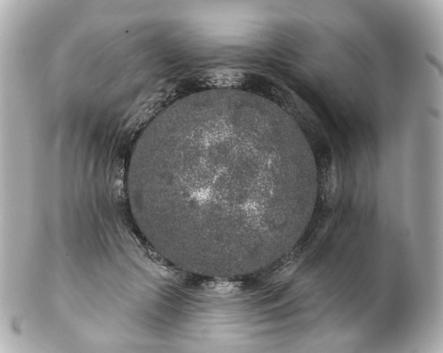 X0000100910553200807011246