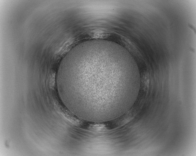 X0000100910554200807011246