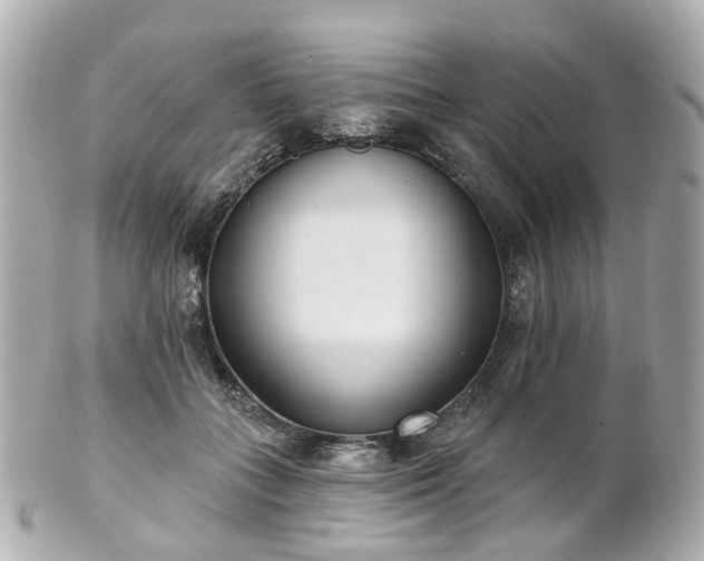 X0000100910555200807011246