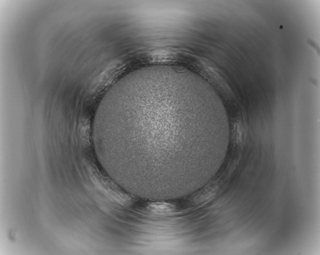 X0000100910557200807011246