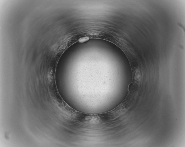X0000100910559200807011246