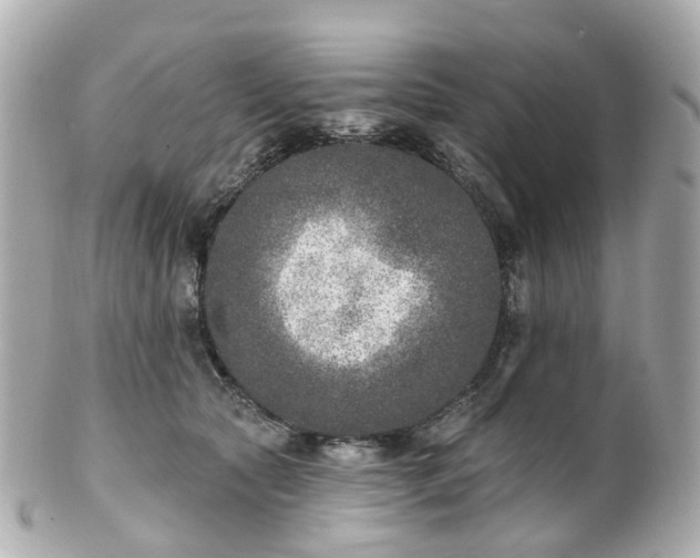 X0000100910561200807011246