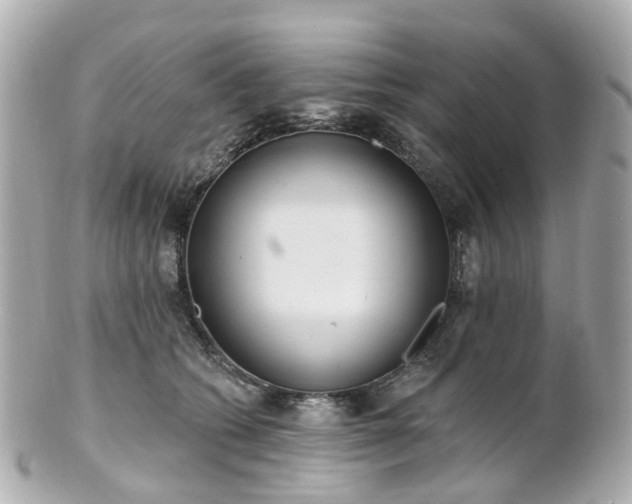 X0000100910562200807011246