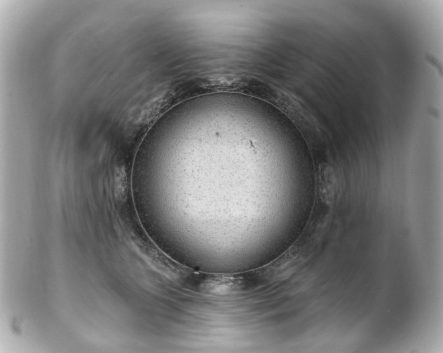 X0000100910563200807011246