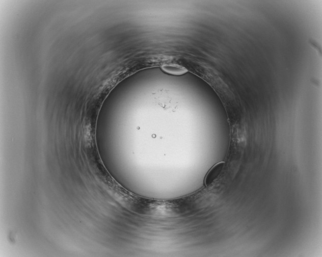 X0000100910564200807011246