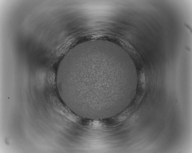 X0000100910565200807011246