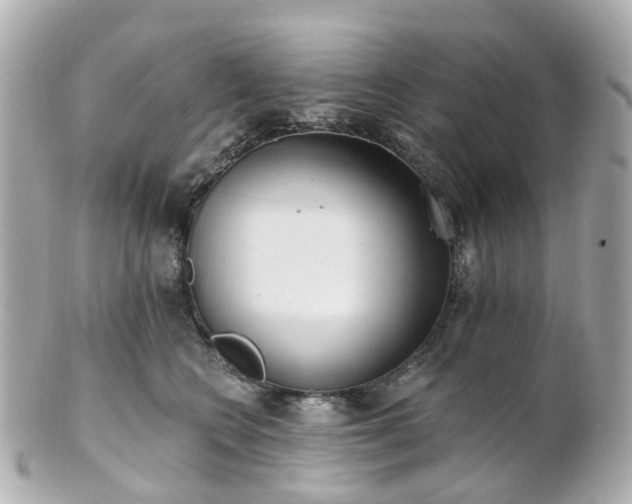 X0000100910566200807011246