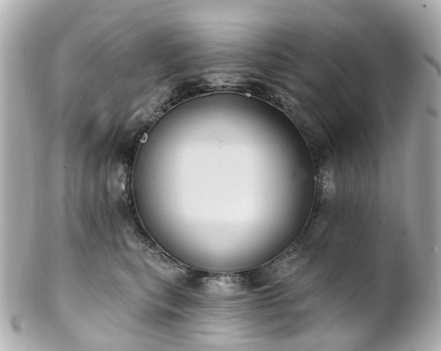 X0000100910567200807011246