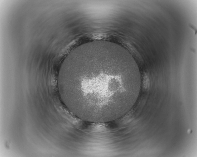 X0000100910569200807011246
