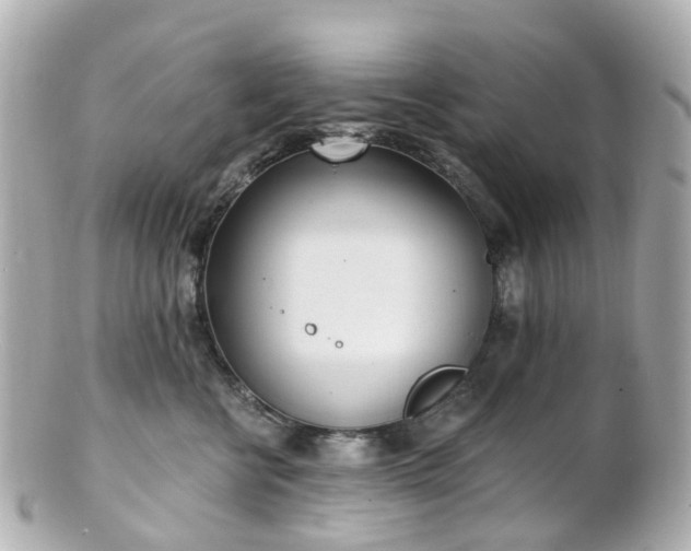 X0000100910570200807011246