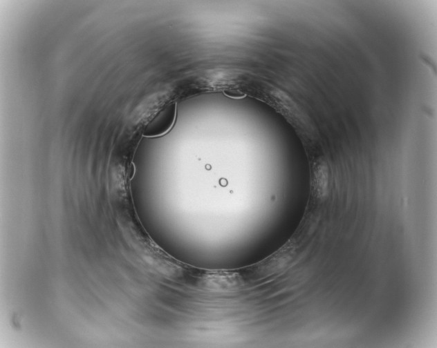 X0000100910571200807011246