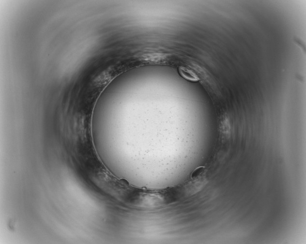 X0000100910572200807011246