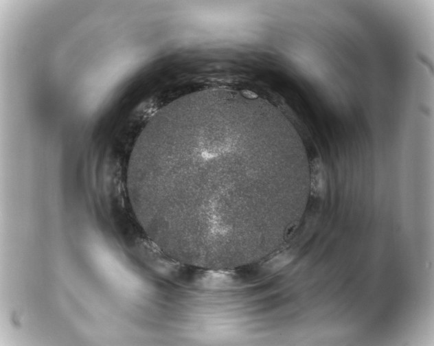 X0000100910573200807011246