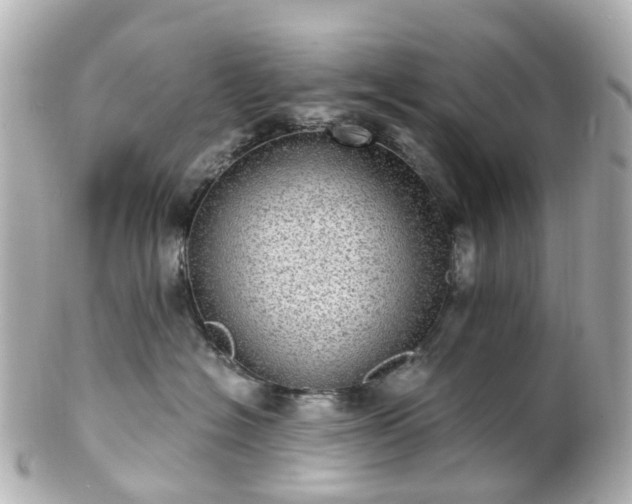 X0000100910574200807011246