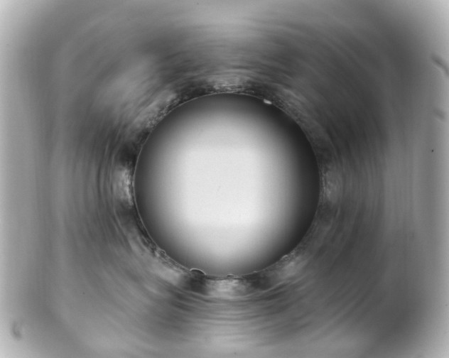 X0000100910575200807011246