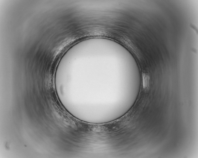 X0000100910579200807011246