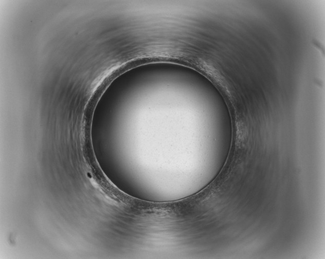 X0000100910580200807011246