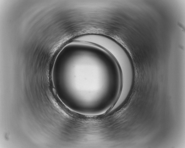 X0000100910581200807011246