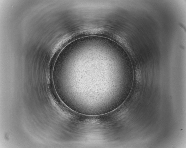 X0000100910582200807011246