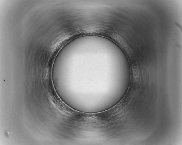 X0000100910583200807011246