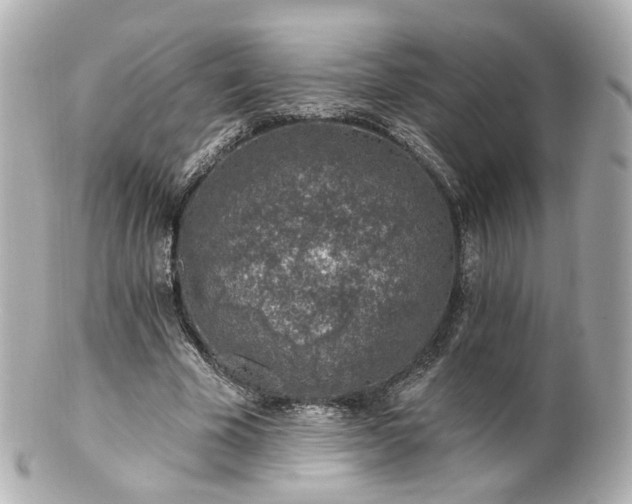X0000100910585200807011245