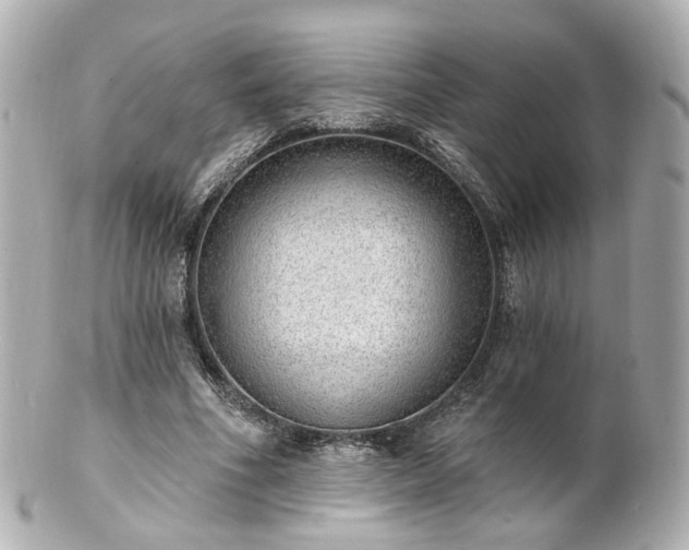 X0000100910586200807011245
