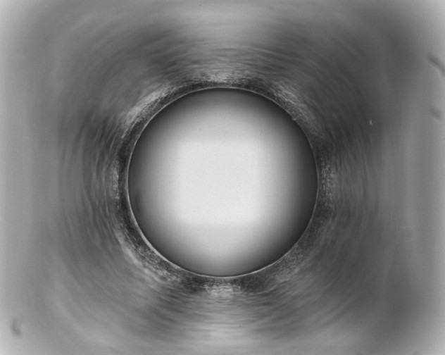 X0000100910587200807011245