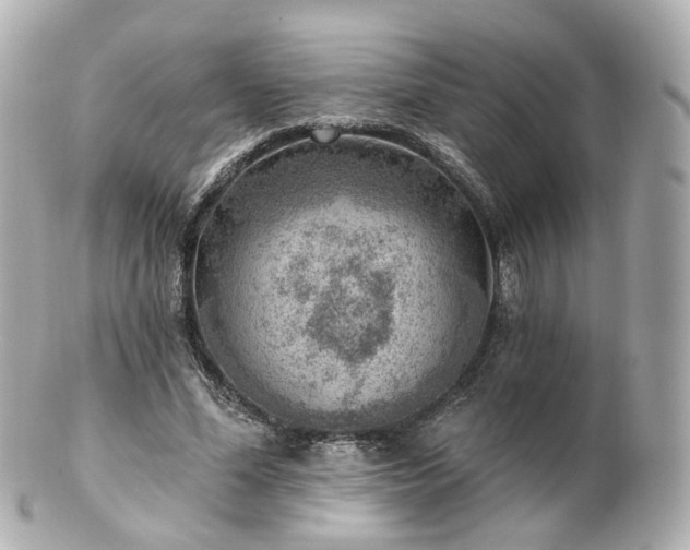 X0000100910588200807011245