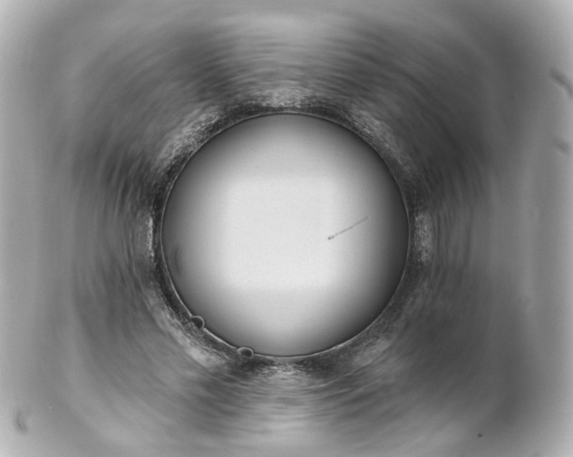X0000100910589200807011245